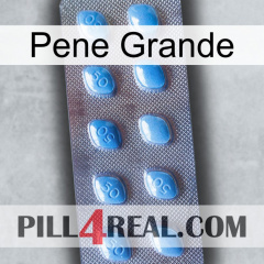 Big Penis viagra3